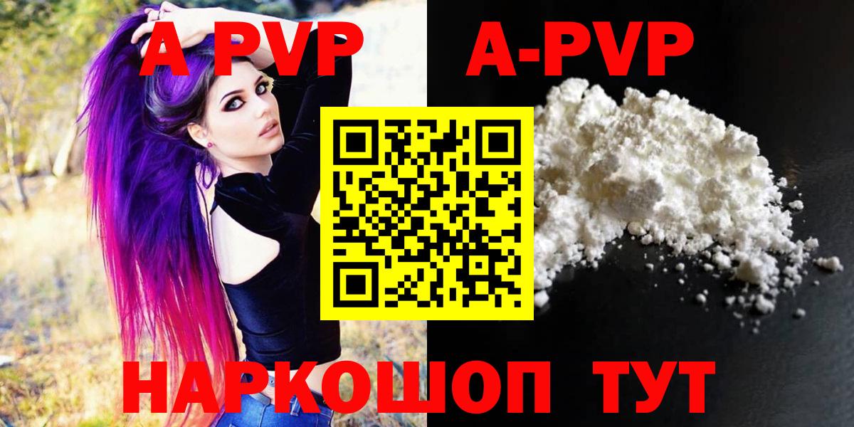 A PVP СК КРИС Великий Новгород