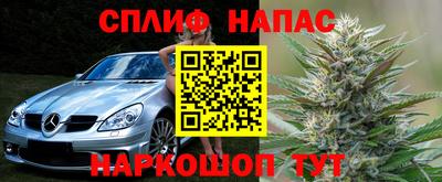 a pvp Гусь-Хрустальный